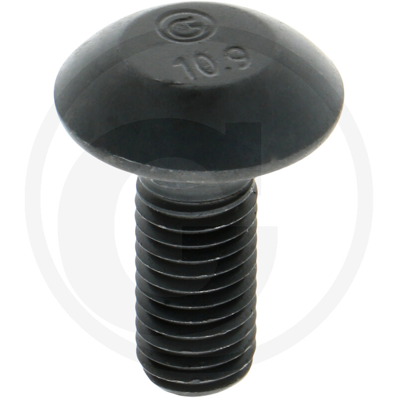 Flachrundschraube M12x30-10.9